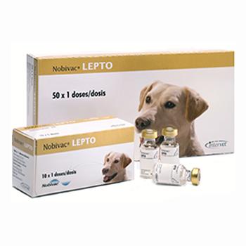 Intervet Нобивак LEPTO вакцина для собак